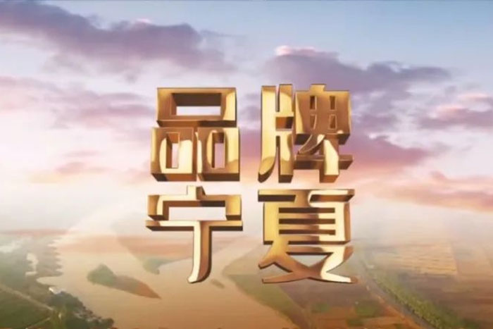 來自寧夏衛(wèi)視《品牌寧夏》欄目對(duì)巨能的報(bào)道