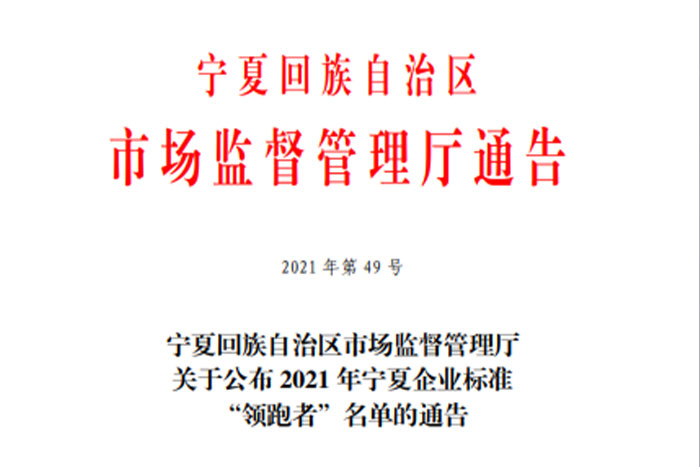 【榮譽】巨能《GS系列桁架機器人》企業(yè)標準入選2021年寧夏企業(yè)標準“領(lǐng)跑者”名單